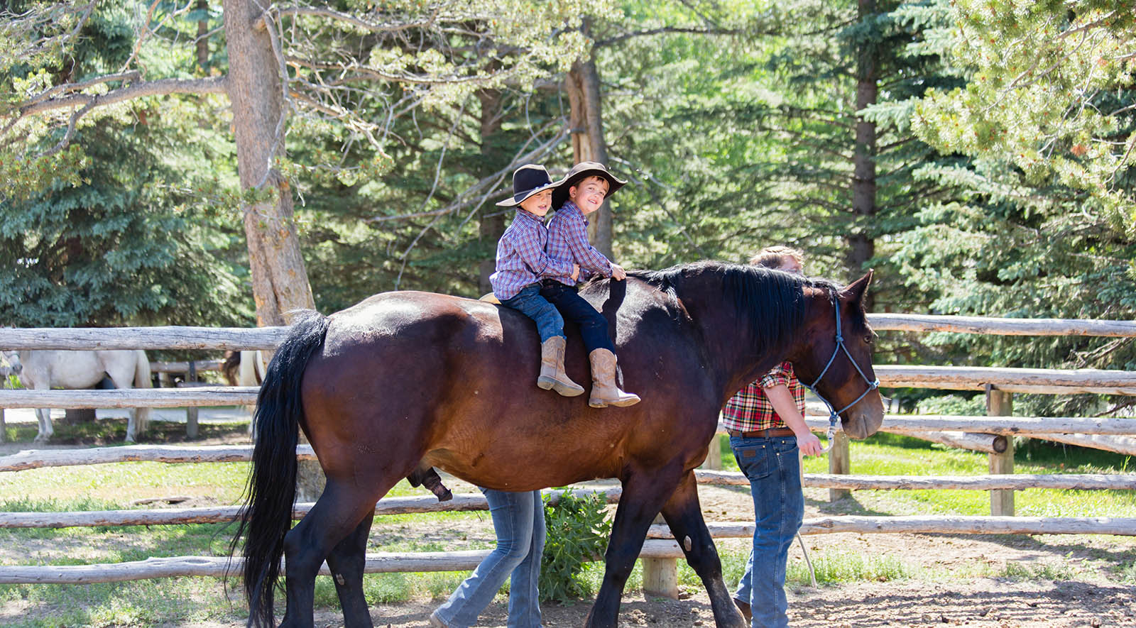 wyoming ranch vacation