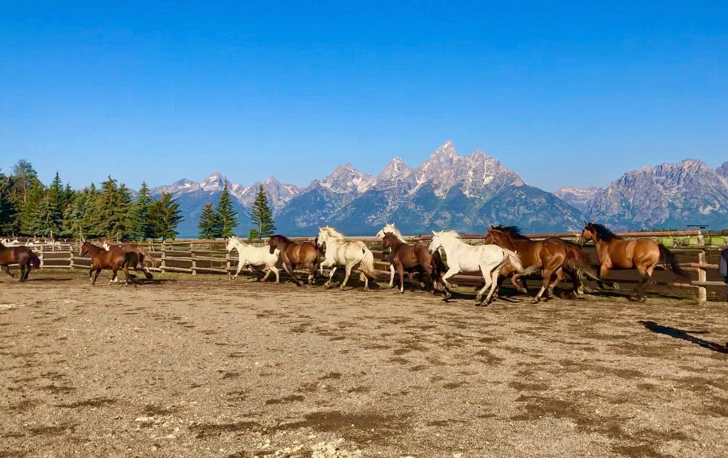 Lost Creek Ranch photo 10